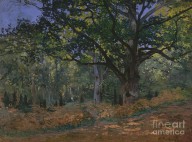 20517471 the-bodmer-oak-fontainebleau-forest-1865-claude-monet