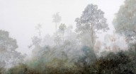 15033397 nebbia-nella-foresta-guido-borelli