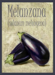23825072 melanzana-solanum-melongena-guido-borelli