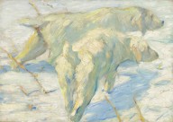 Siberian Dogs in the Snow-ZYGR62640