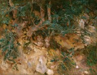 Valdemosa, Majorca Thistles and Herbage on a Hillside-ZYGR73835