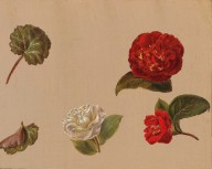 Ölgemälde und Aquarelle des 19. Jahrhunderts - Franz Xaver Petter-60918_2