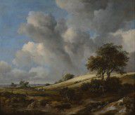 Jacob Isaacksz. van Ruisdael A Cornfield with the Zuiderzee in the background 