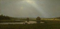 Martin Johnson Heade - After the Rain in the Salt Marshes, ca. 1874