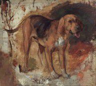 HolmanHunt-Studyofabloodhound 