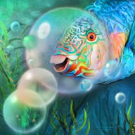 16538157 parrot-fish-through-a-bubble-carol-cavalaris