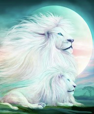 18642874 white-lion-spirit-king-carol-cavalaris