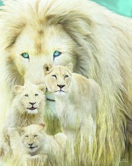 21205852 white-lion-family-forever-carol-cavalaris