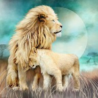 21257042 white-lion-family-protection-carol-cavalaris
