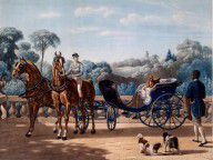 11990676_Horse_And_Carriage,_First_Half_C19th