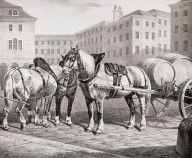 12001195_English_Farm_Horses,_1823