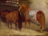 13382048_Horses_In_The_Stables_