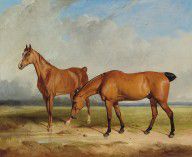 15719750_Bay_Hunter_And_Chestnut_Mare_In_A_Field