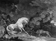 16873556_A_Horse_Affrighted_By_A_Lion