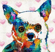 13492490_Colorful_Chihuahua_Art_By_Sharon_Cummings