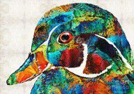 13515238_Colorful_Wood_Duck_Art_By_Sharon_Cummings