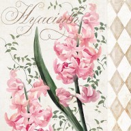 15375663_Pink_Hyacinth
