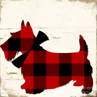16861982_Scottish_Terrier_Tartan_Plaid