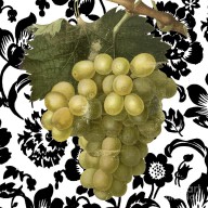 17744174_Grapes_Suzette_II