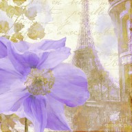 18086478_Purple_Paris