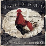18351768_Compagne_IIi_Rooster_Farm