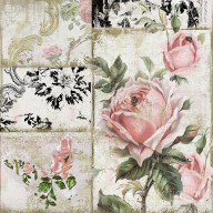 18365381_Paris_Pink_Tea_Roses