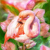 14775072_Flamingo_And_Flowers_-blooming_In_Paradise_Sq