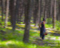 2243773_Through_The_Woods_2