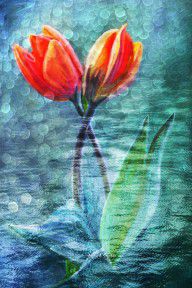 11607591_Painted_Tulips_For_Mother's_Day