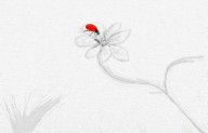 12957674_Invisible_With_Ladybug