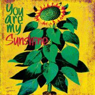 4113419_You_Are_My_Sunshine