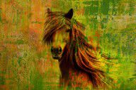 8552158_Horse_Paintings_001