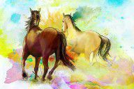 8552296_Horse_Paintings_009