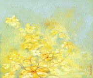 14299096_Yellow_Flowers