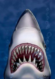 9638896_Jaws_Great_White_Shark_Art
