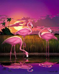 1370404_Flamingoes_Flamingos_Tropical_Sunset_Landscape_Florida_Everglades_Large_Hot_Pink_Purple_Prin