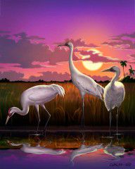 1370602_Whooping_Cranes_Tropical_Florida_Everglades_Sunset_Birds_Landscape_Scene_Purple_Pink_Print