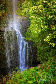 11494536_Hana_Waterfall