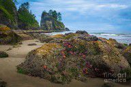 14015263_Point_Of_The_Arches_Beach