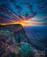 14493188_Dawn_In_The_Chisos