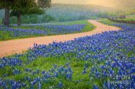 14749234_Texas_Country_Road