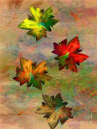 9516453_Autumn_Leaf_Fall