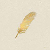 12188472_A_Bird_Feather_-_Embossed_Gold_On_Linen