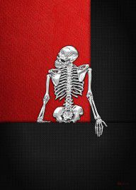 14223274_Memento_Mori_-_Silver_Human_Skeleton_On_Black_And_Red_Canvas