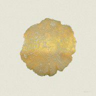 10843594_Rings_Of_A_Tree_Trunk_Cross-section_In_Gold_On_Linen