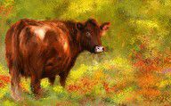 13118438_Red_Devon_Cattle_-_Red_Devon_Cattle_In_A_Farm_Scene-_Cow_Art