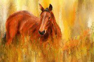 13343066_Stallion_In_Autumn_-_Bay_Horse_Paintings