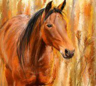 13345453_Standing_Regally-_Bay_Horse_Paintings