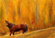 13553279_Alone_In_Grandeur-_Bay_Horse_Paintings