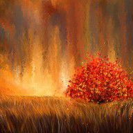 13842465_Beautiful_Change-_Autumn_Impressionist